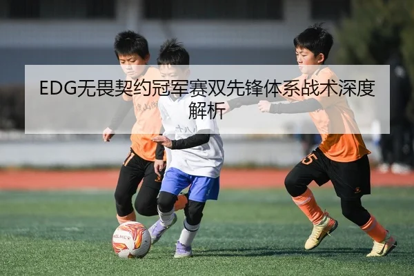 EDG无畏契约冠军赛双先锋体系战术深度解析