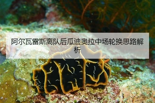 阿尔瓦雷斯离队后瓜迪奥拉中场轮换思路解析